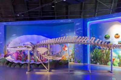 日照海洋科普館盛大開幕 生物科技與海洋探索的新篇章