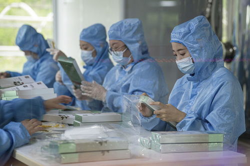 有綠、有技、有特色 鄉村振興新活力中的生物科技力量