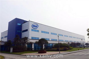 機(jī)器視覺與工業(yè)機(jī)器人在智能制造中的應(yīng)用——維視智造技術(shù)服務(wù)探索